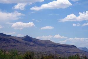 Phoenix-and-Laughlin-2006