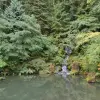 Washington-Park