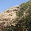 P1000818