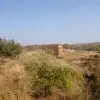 P1000828