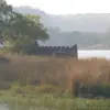 P1000830
