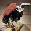 2026-05-20 12.00.29