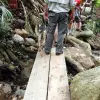 Botanic-Garden