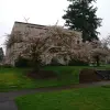 2017-03-26-10.42.41