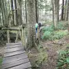 Olympic-Peninsula
