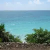 IMG_0115