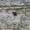 IMG_0120